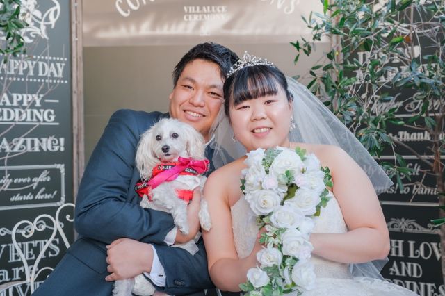 実例レポートNo.81-01