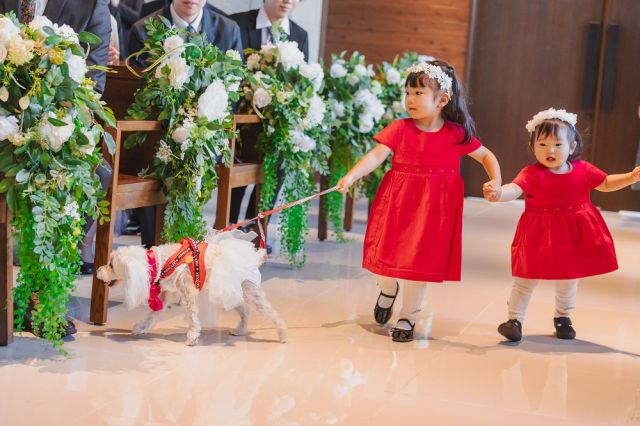 実例レポートNo.81-05