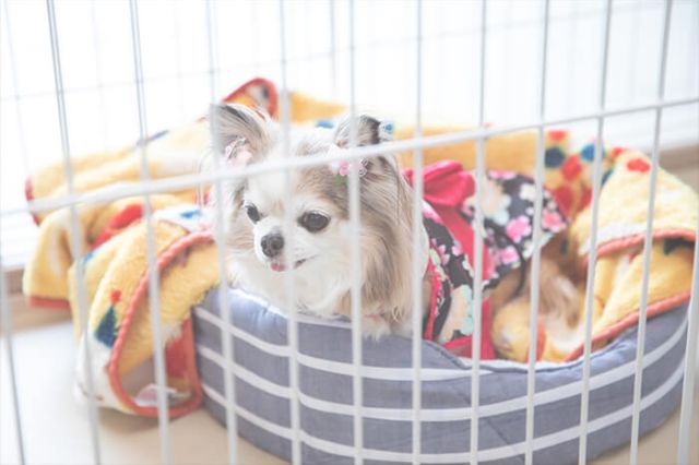 実例レポートNo.3-10