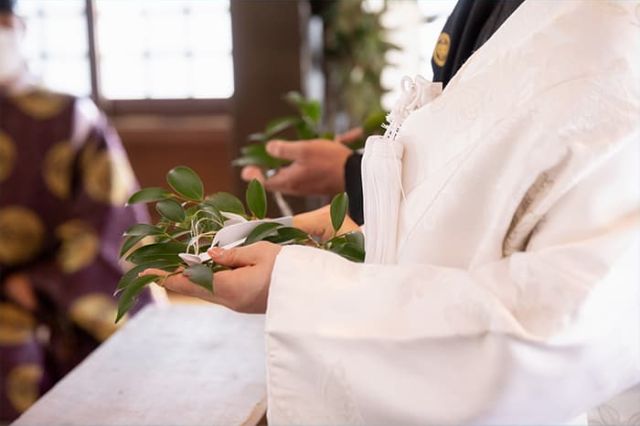 実例レポートNo.17-17