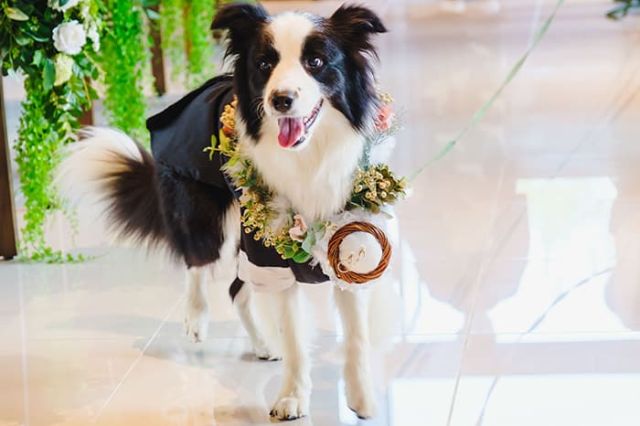 実例レポートNo.41-03