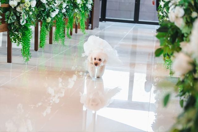 実例レポートNo.55-05