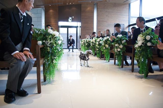 実例レポートNo.68-03