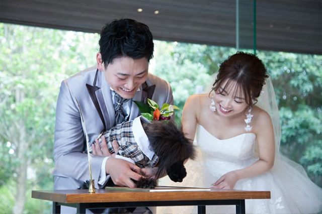 実例レポートNo.68-04